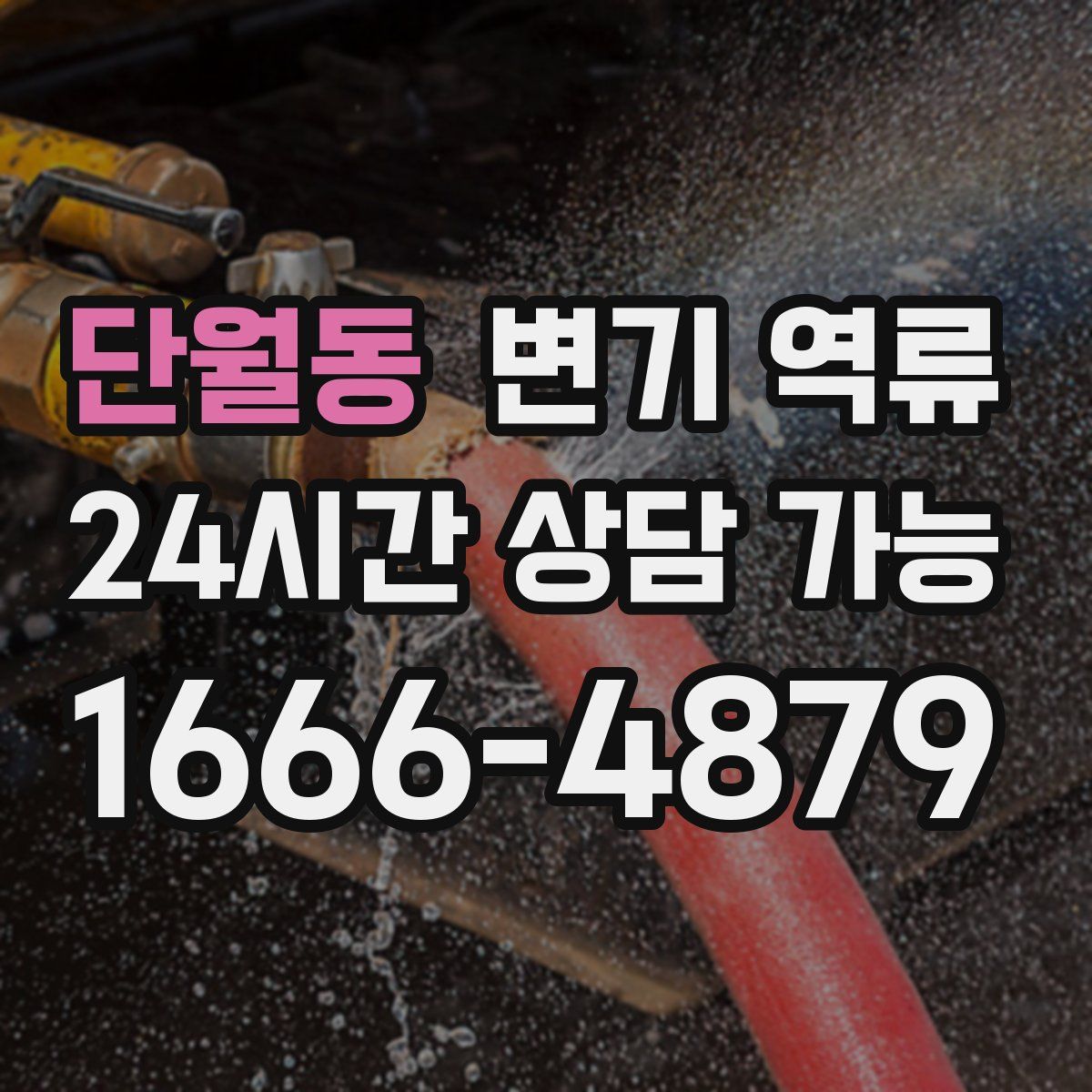 단월동 변기 역류