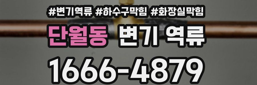 단월동 변기 역류