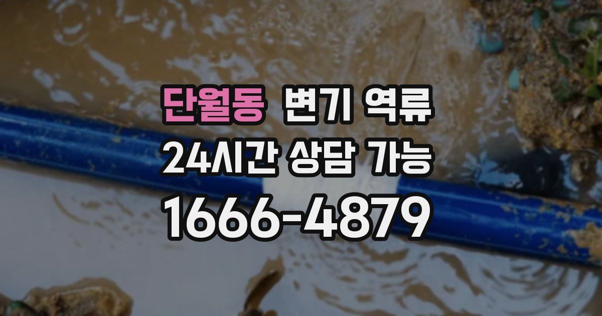 단월동 변기 역류