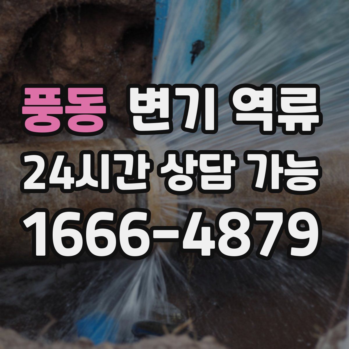 풍동 변기 역류