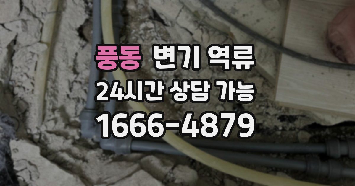 풍동 변기 역류