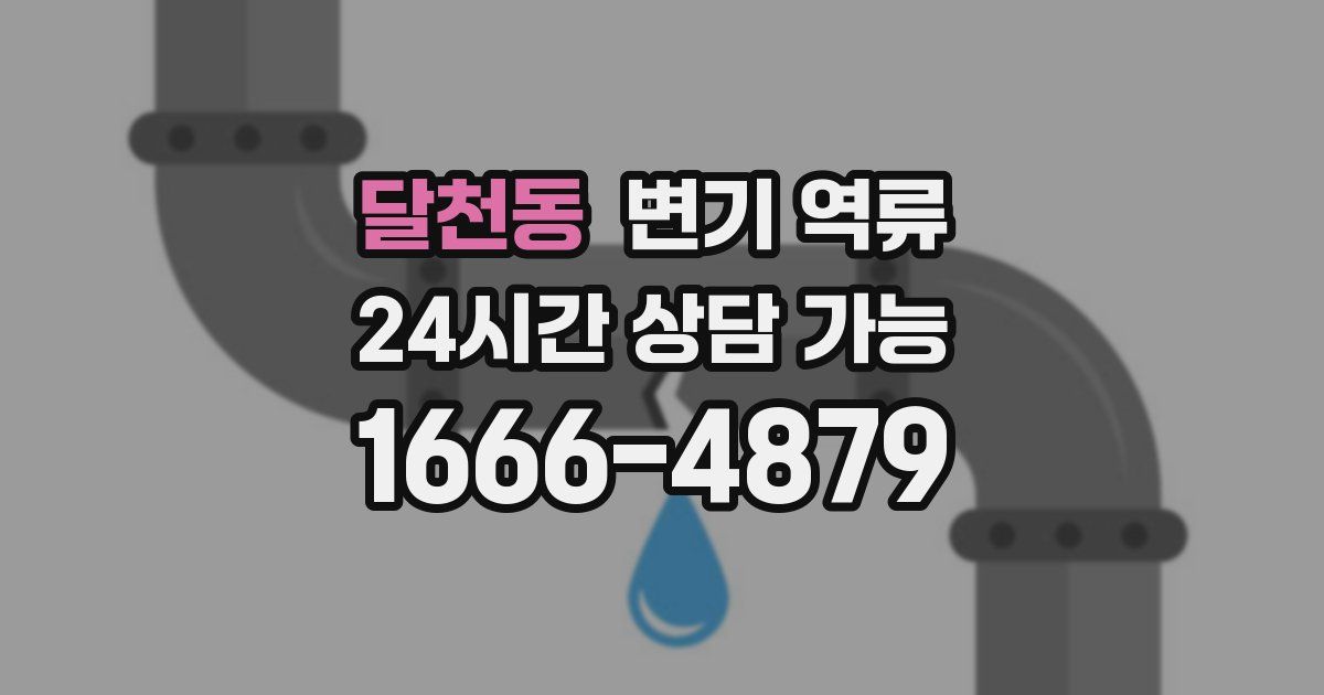 달천동 변기 역류