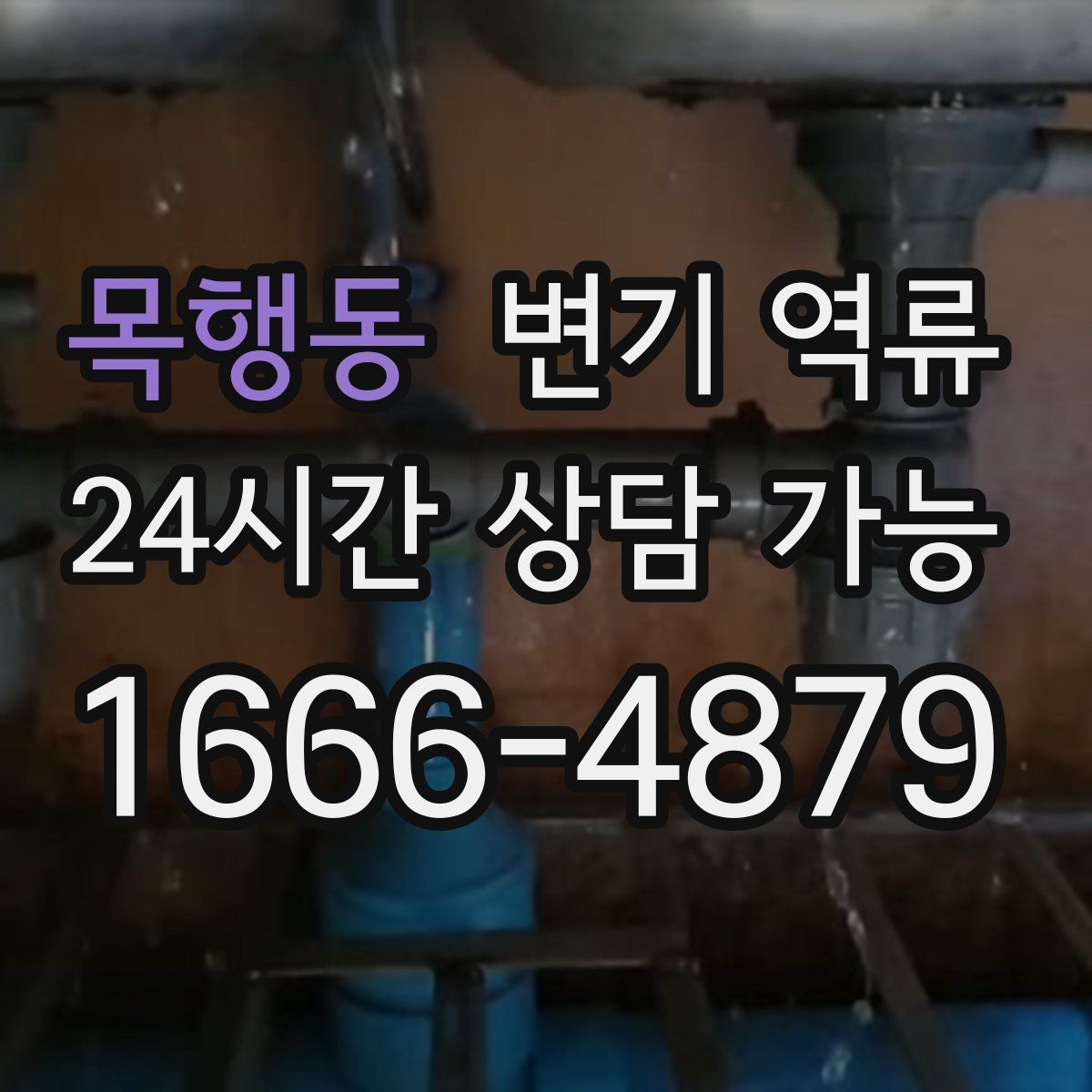 목행동 변기 역류