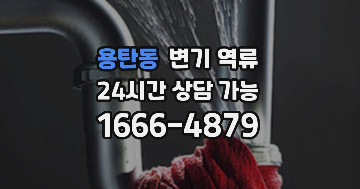 용탄동 변기 역류