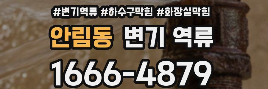 안림동 변기 역류