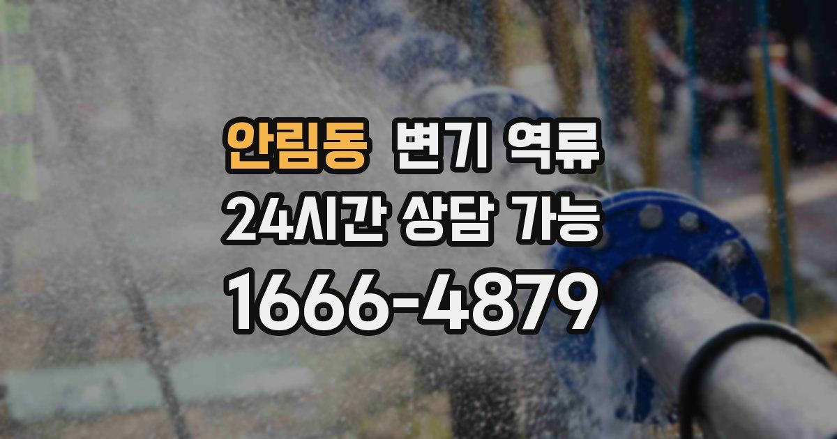 안림동 변기 역류