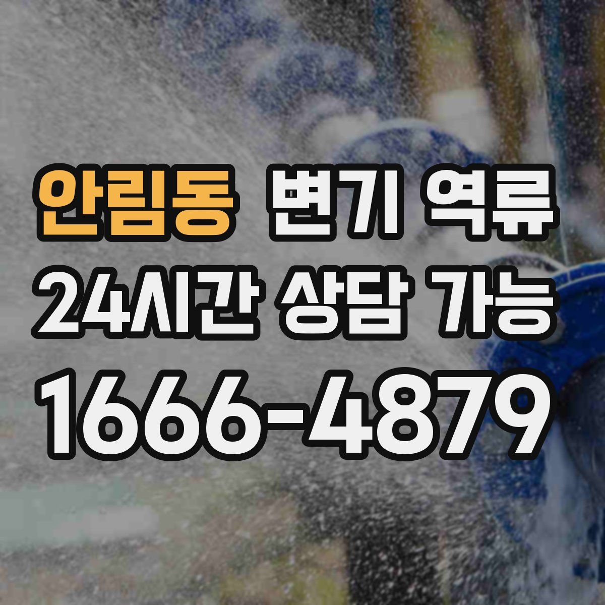안림동 변기 역류
