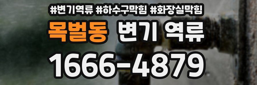 목벌동 변기 역류