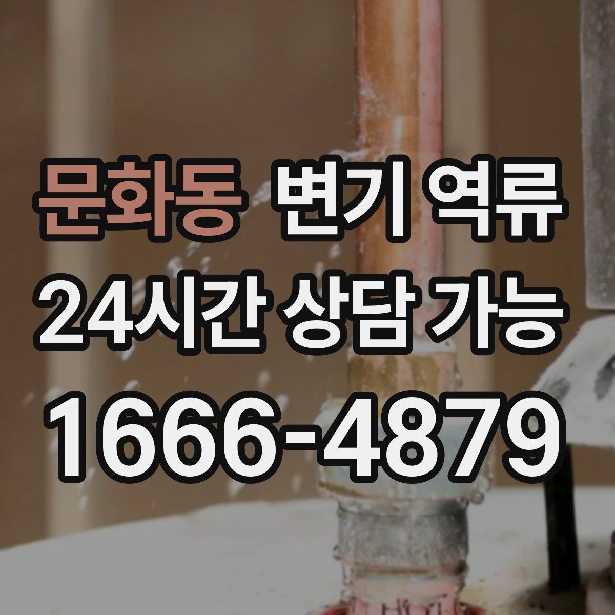 문화동 변기 역류