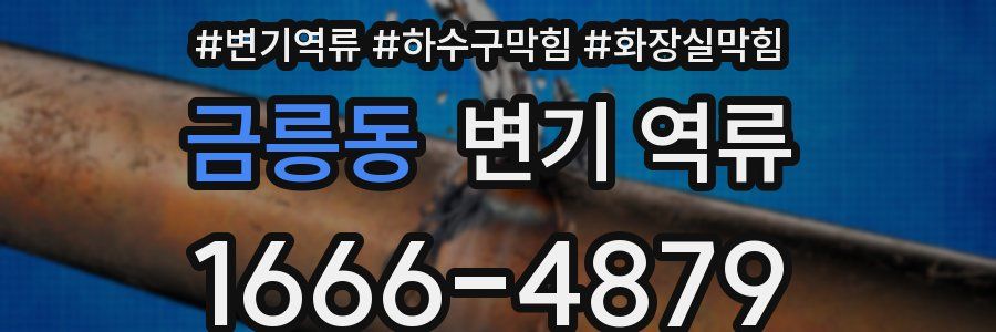 금릉동 변기 역류