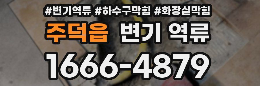 주덕읍 변기 역류