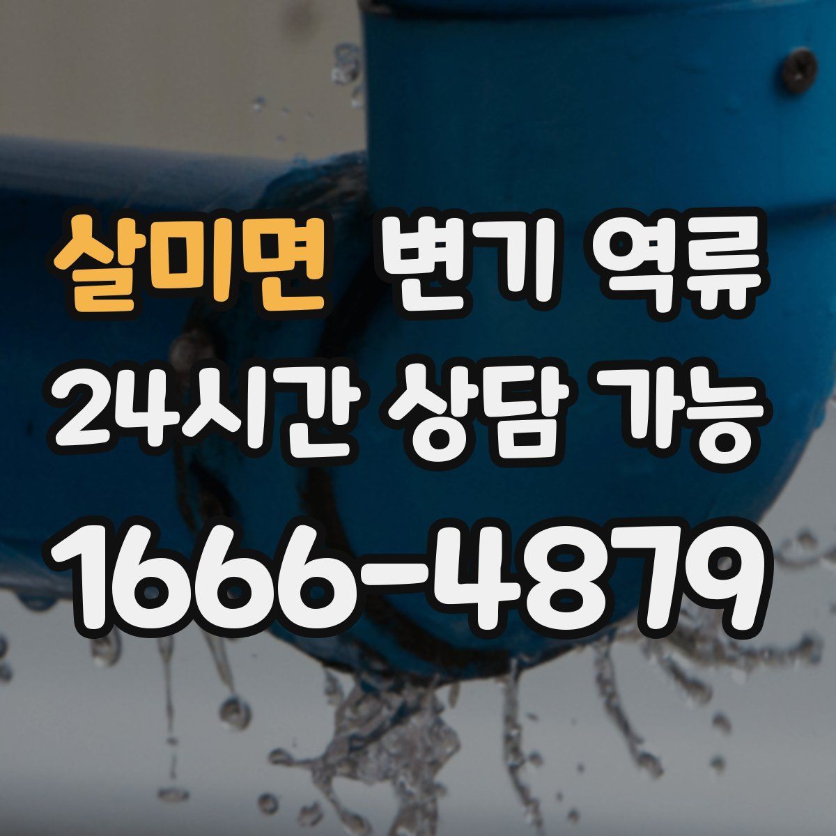 살미면 변기 역류