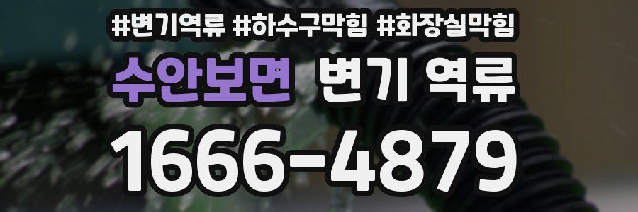 수안보면 변기 역류