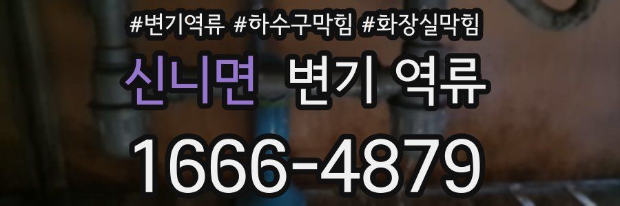 신니면 변기 역류