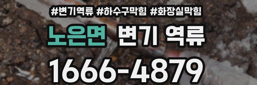 노은면 변기 역류