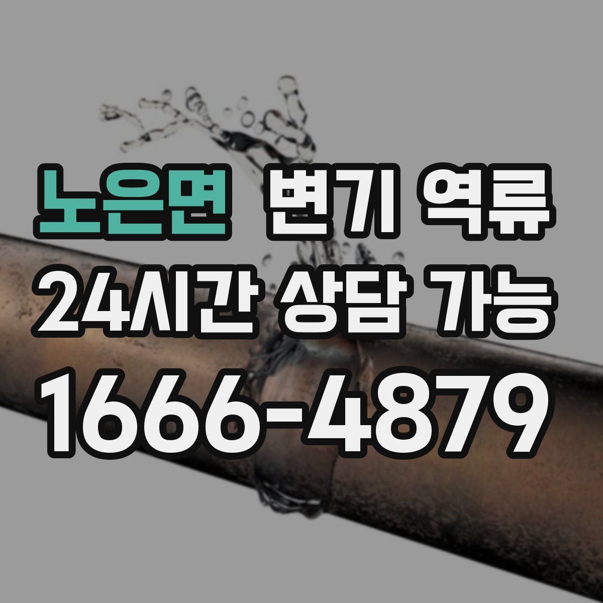 노은면 변기 역류