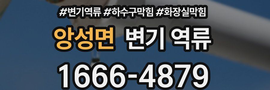 앙성면 변기 역류