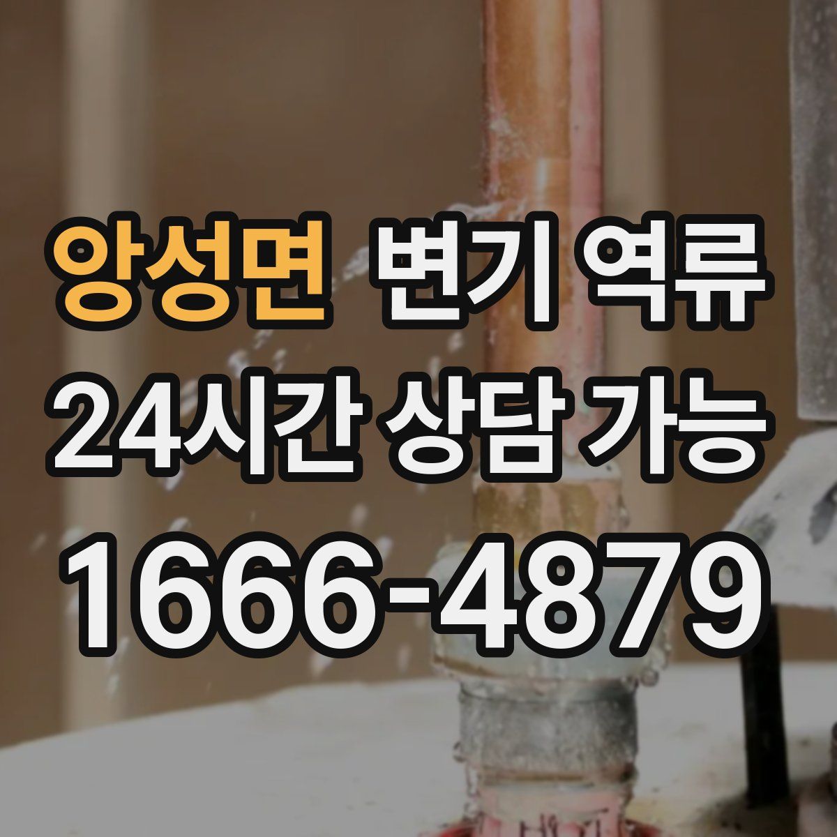 앙성면 변기 역류