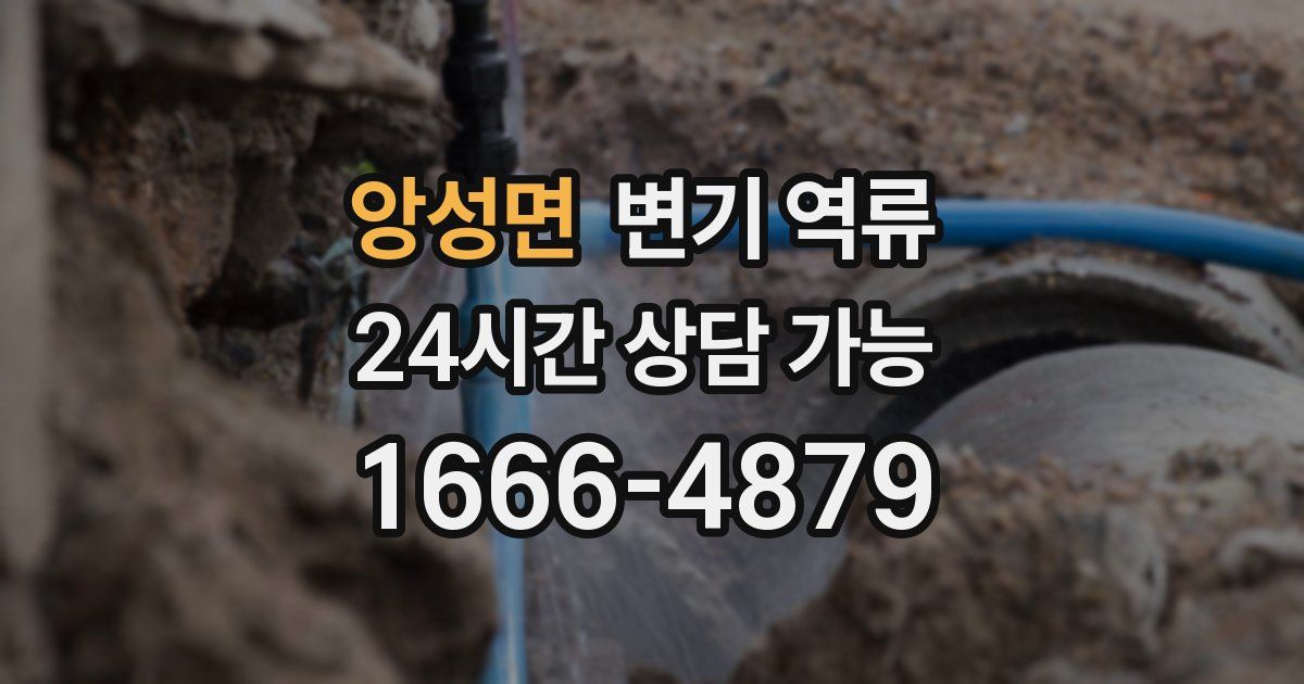 앙성면 변기 역류