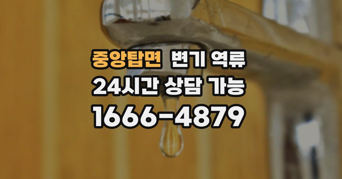 중앙탑면 변기 역류