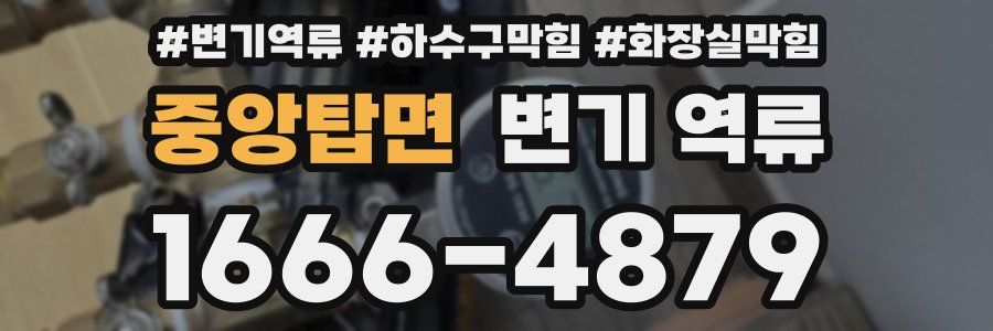 중앙탑면 변기 역류