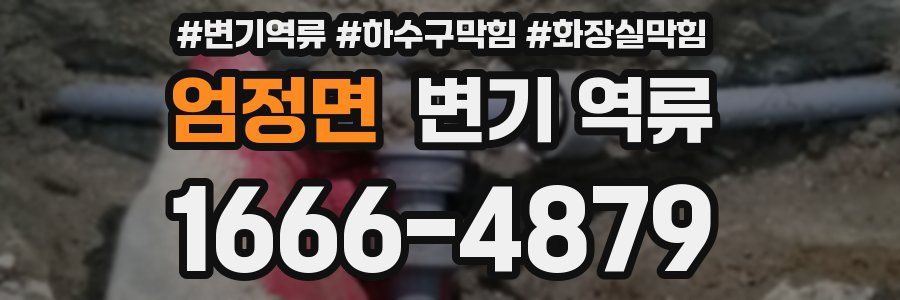 엄정면 변기 역류