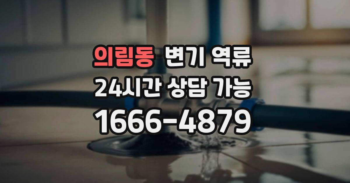 의림동 변기 역류