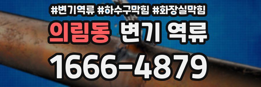 의림동 변기 역류