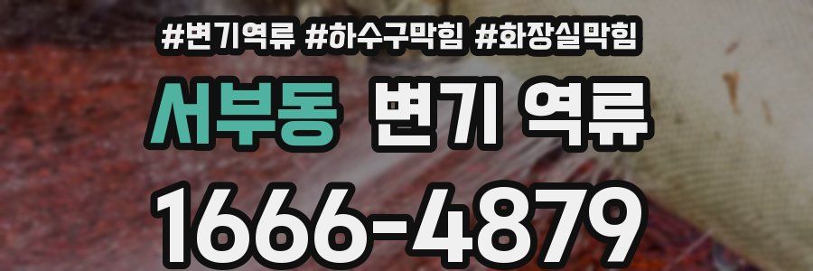 서부동 변기 역류