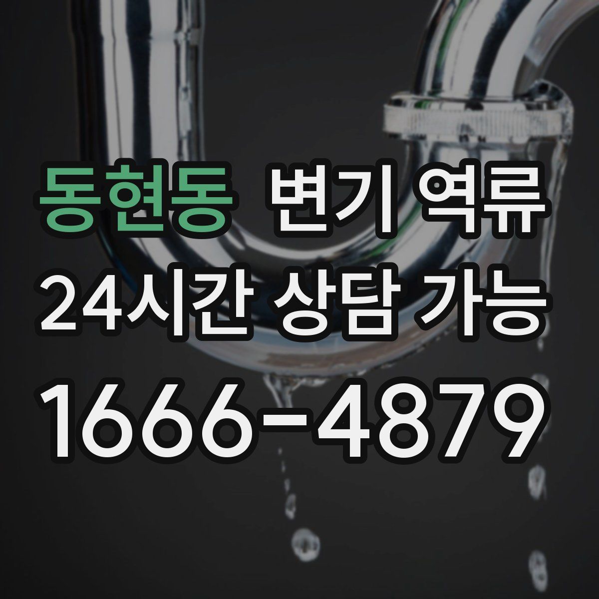 동현동 변기 역류