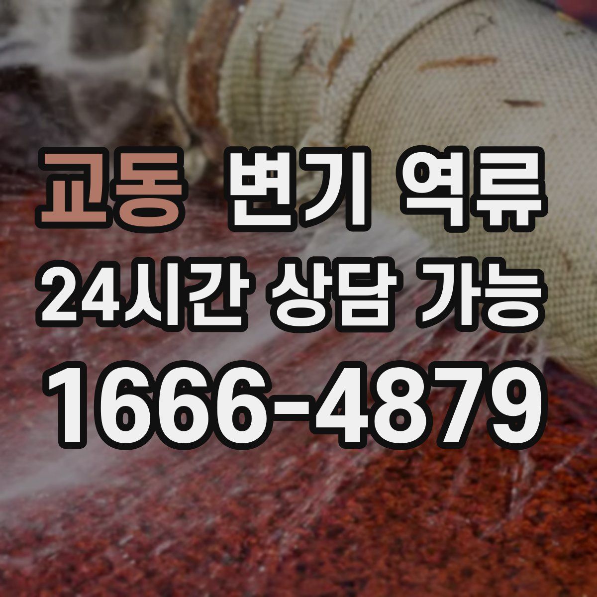 교동 변기 역류