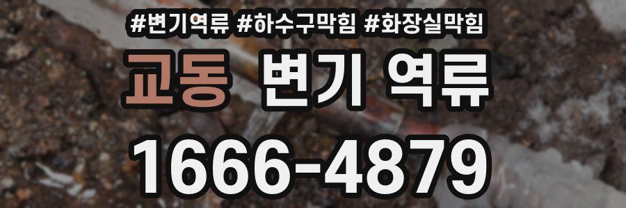 교동 변기 역류