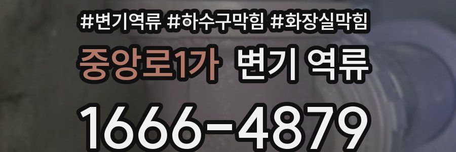 중앙로1가 변기 역류