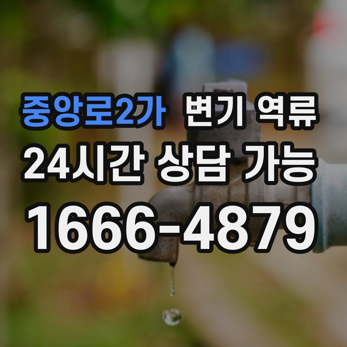 중앙로2가 변기 역류