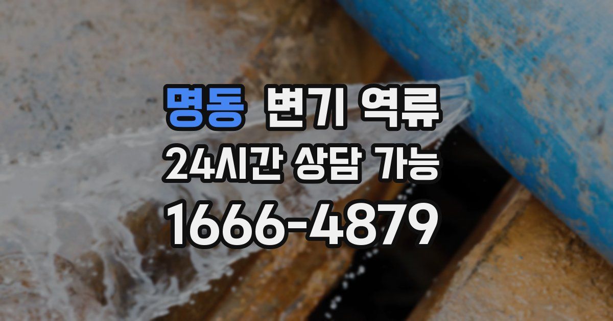 명동 변기 역류