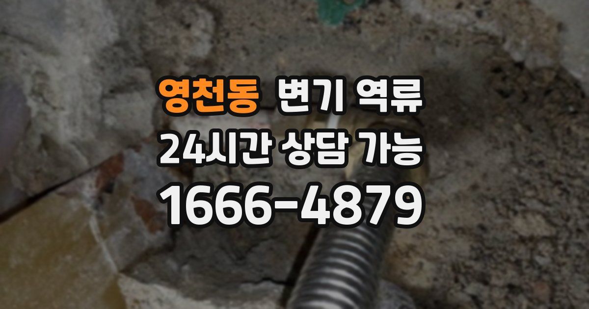 영천동 변기 역류