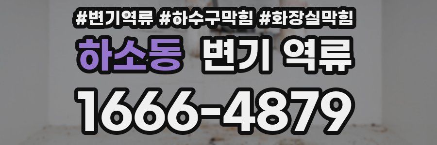 하소동 변기 역류