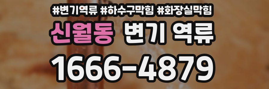 신월동 변기 역류