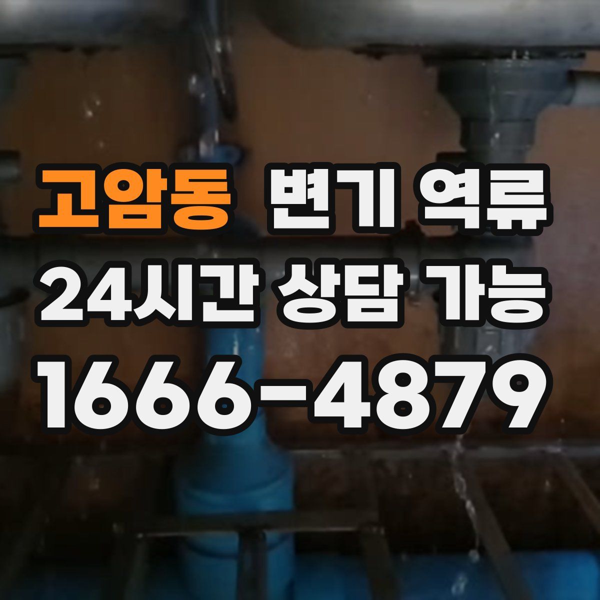 고암동 변기 역류