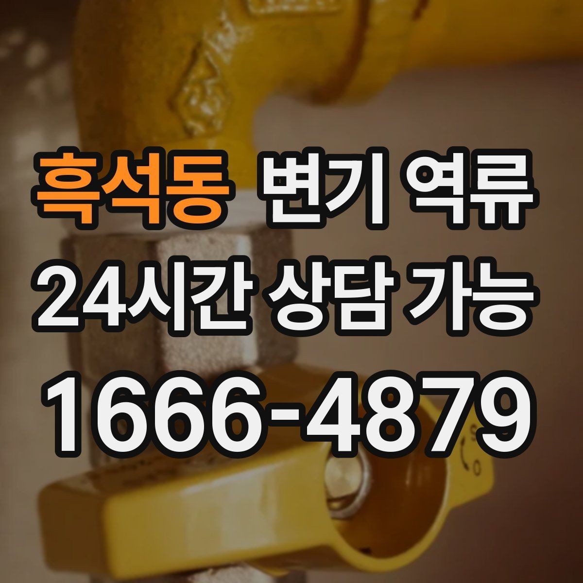 흑석동 변기 역류 세대 배관과 공용 배관을 구분하는 기준