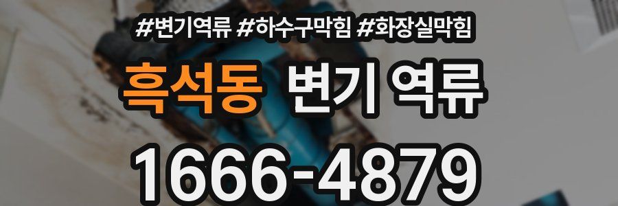 흑석동 변기 역류