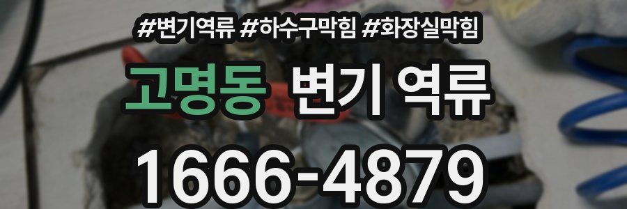 고명동 변기 역류