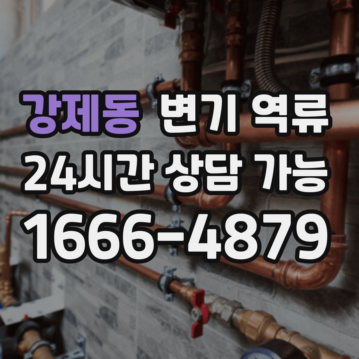 강제동 변기 역류