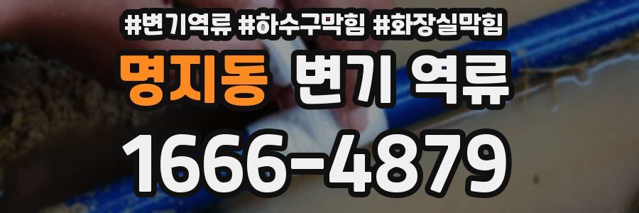 명지동 변기 역류