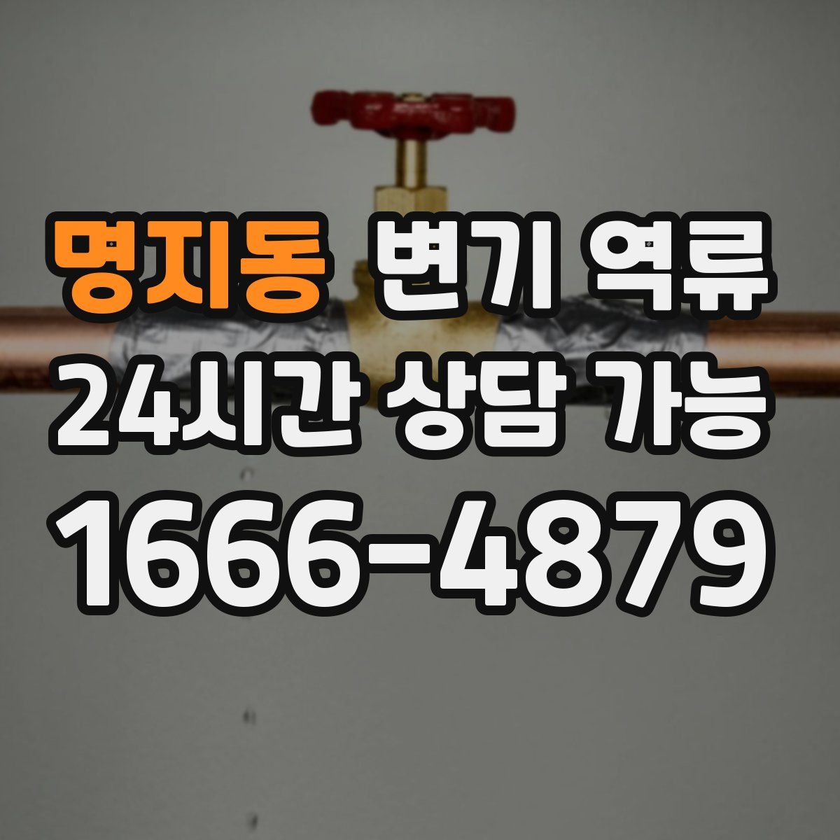 명지동 변기 역류