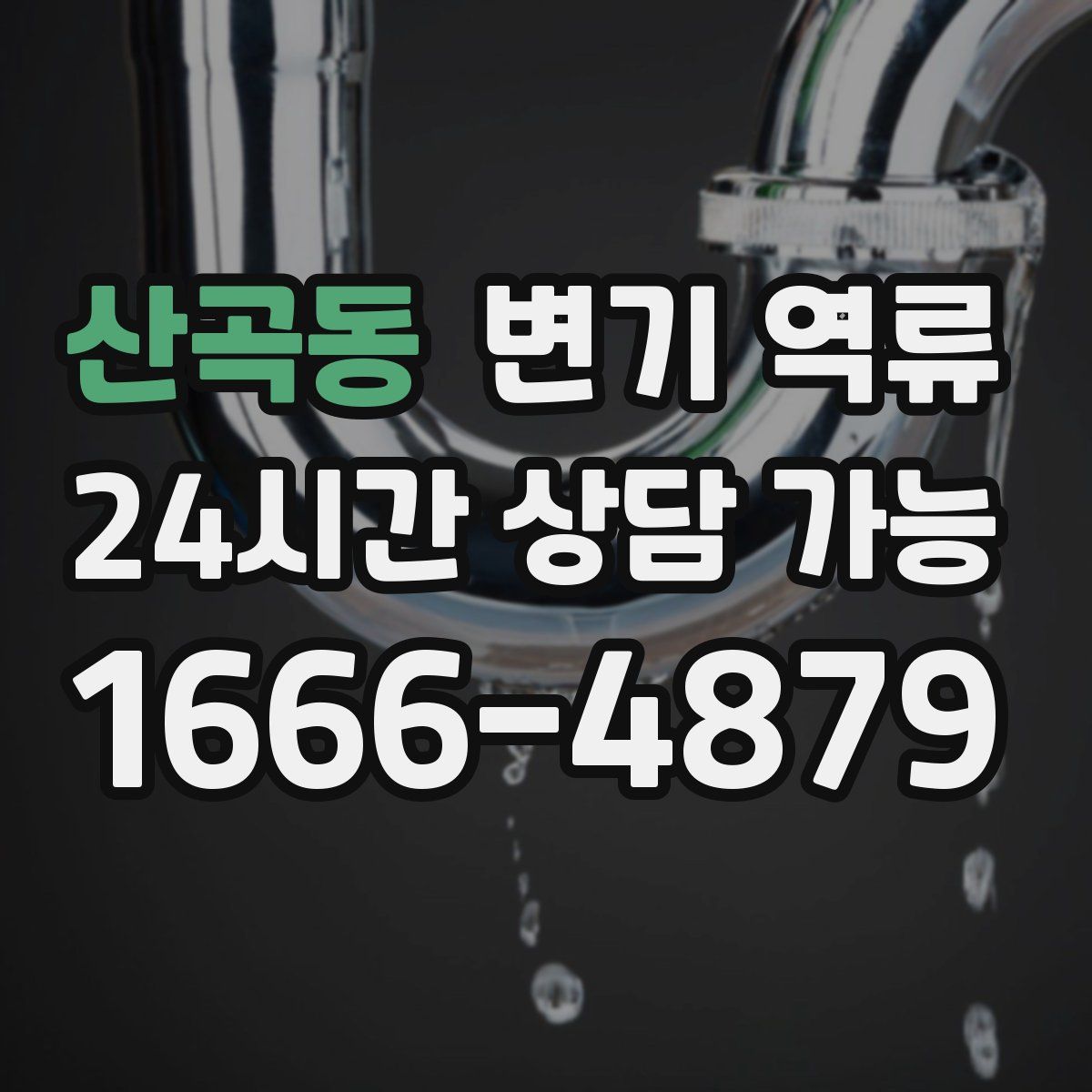 산곡동 변기 역류