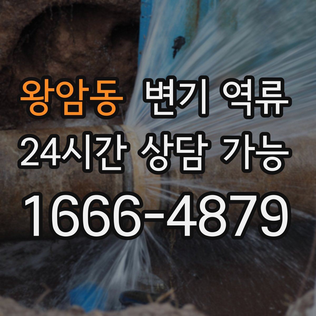 왕암동 변기 역류 물 내리면 바닥 배수구에서 소리가 나는 이유