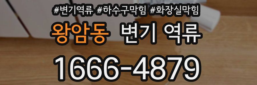 왕암동 변기 역류