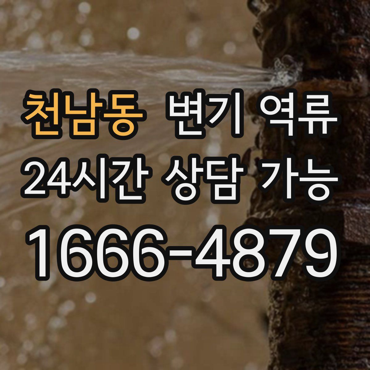 천남동 변기 역류