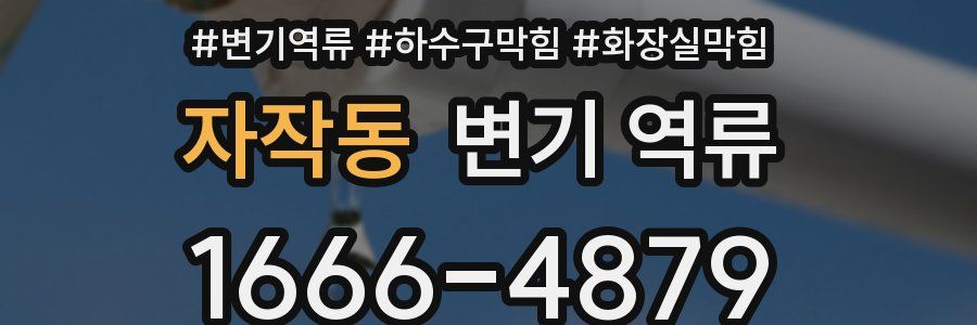 자작동 변기 역류